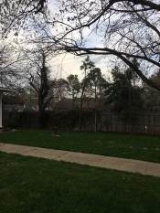 After emergency storm work for tree service tulsa