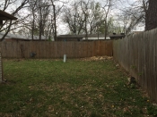 Tree Removal Mulberry Tulsa