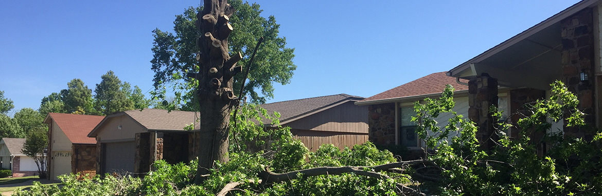 Tulsa Tree Removal